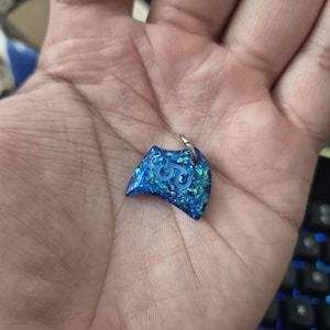 Carlos added a photo of their purchase