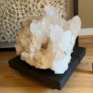 Erin added a photo of their purchase