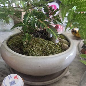 Brandon added a photo of their purchase