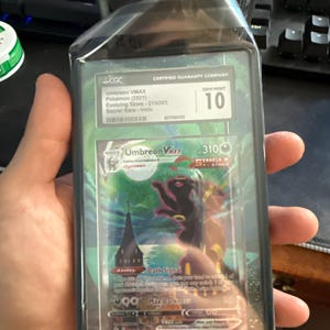 Shin added a photo of their purchase