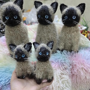 Holly added a photo of their purchase