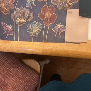Xochilth added a photo of their purchase