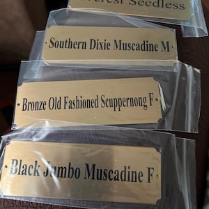 Kelli added a photo of their purchase