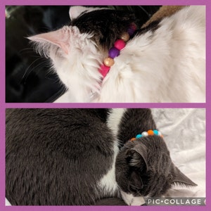 Alanna added a photo of their purchase