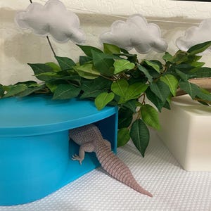 Alison added a photo of their purchase