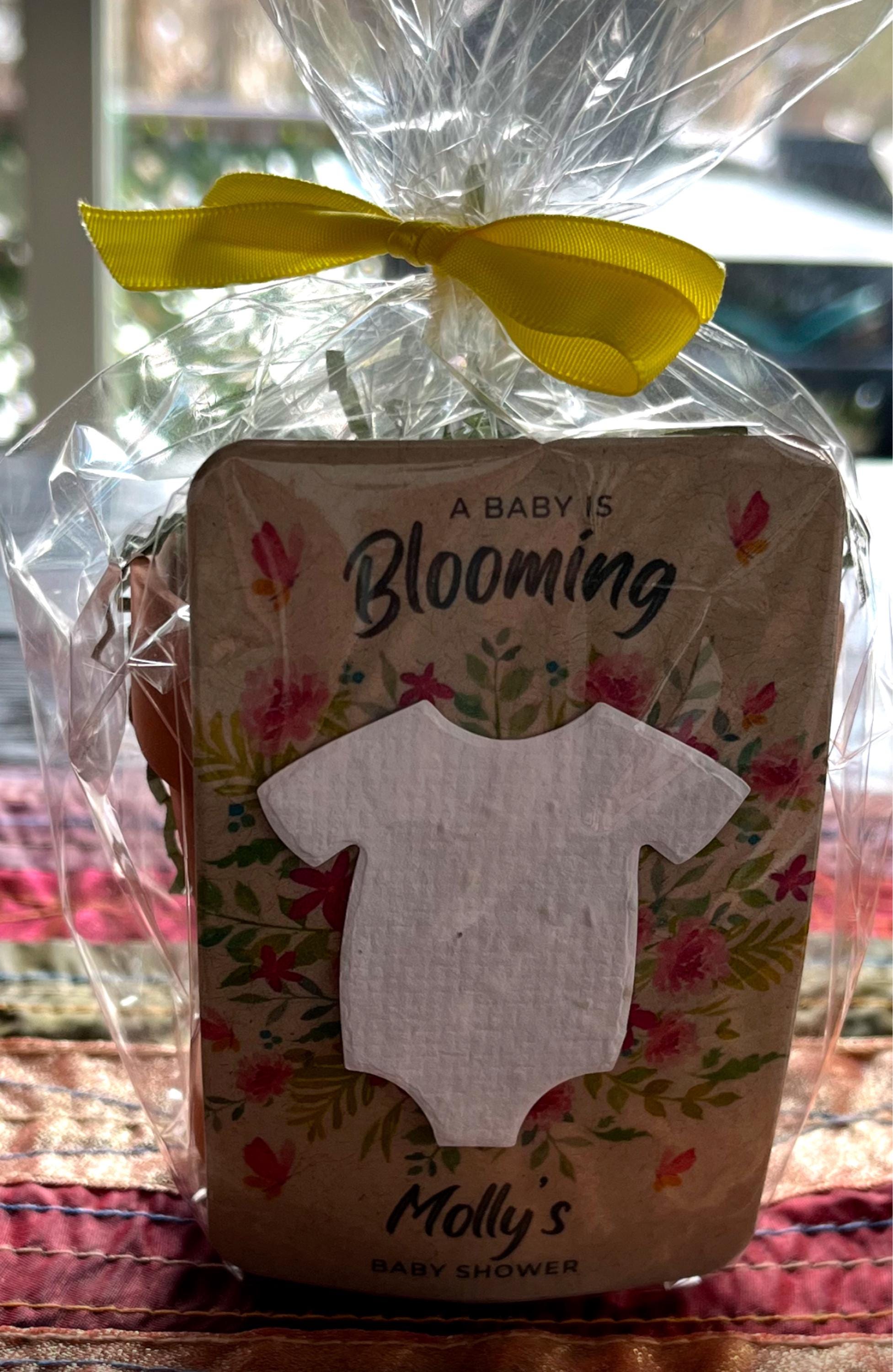 Baby In Bloom Baby Shower Favors For Guests - Wildflower Seed Packets Alternative - Good For Goodie Bags or Prizes