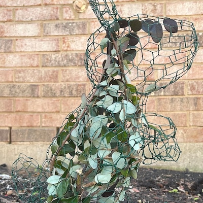 Rabbit Topiary Frame - Etsy