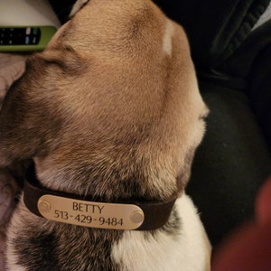 Maggie added a photo of their purchase