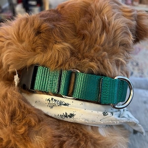 Tiffany added a photo of their purchase