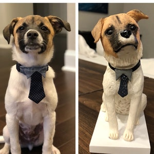 Lindsey ha añadido una foto de su compra