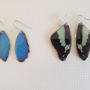Dena added a photo of their purchase