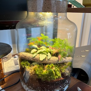 M added a photo of their purchase