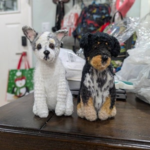 Kim added a photo of their purchase