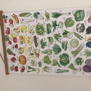 Janneke added a photo of their purchase