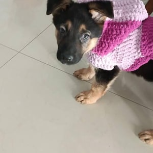 Daniela ha añadido una foto de su compra