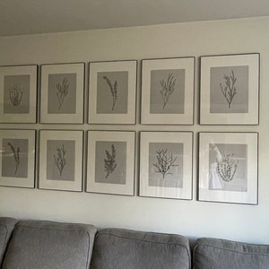 Lisa added a photo of their purchase