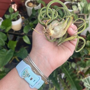 Steph added a photo of their purchase