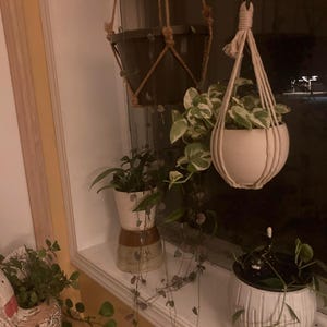 Lisa added a photo of their purchase