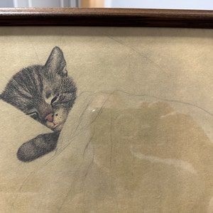 Ted added a photo of their purchase