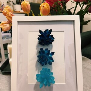 Jennifer added a photo of their purchase