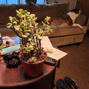 Ingrid added a photo of their purchase