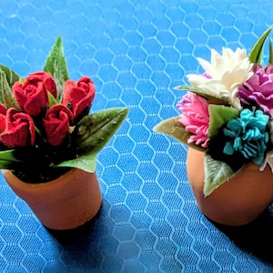 Susan added a photo of their purchase