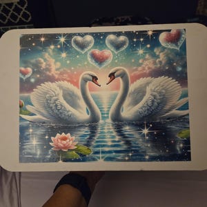Carol added a photo of their purchase