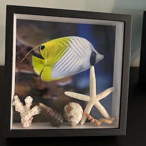 Paula added a photo of their purchase