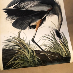 Dna Wall Art, Set of 4,dna Molecule, Rna Molecule, Science Art, Medical ...