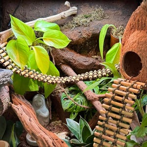 Aphrodite added a photo of their purchase