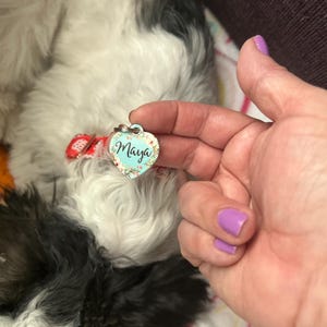 Inactive account added a photo of their purchase