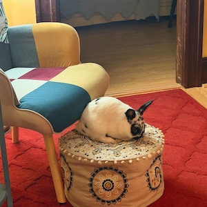 Laura added a photo of their purchase