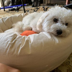 Priscilla ha añadido una foto de su compra