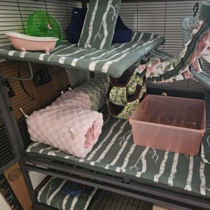 Megan added a photo of their purchase