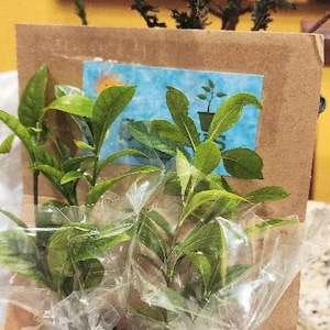 Argha さんが購入した商品の写真を追加しました