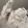 Burlesque Fans dance Feather Fans ostrich Feather Fans size