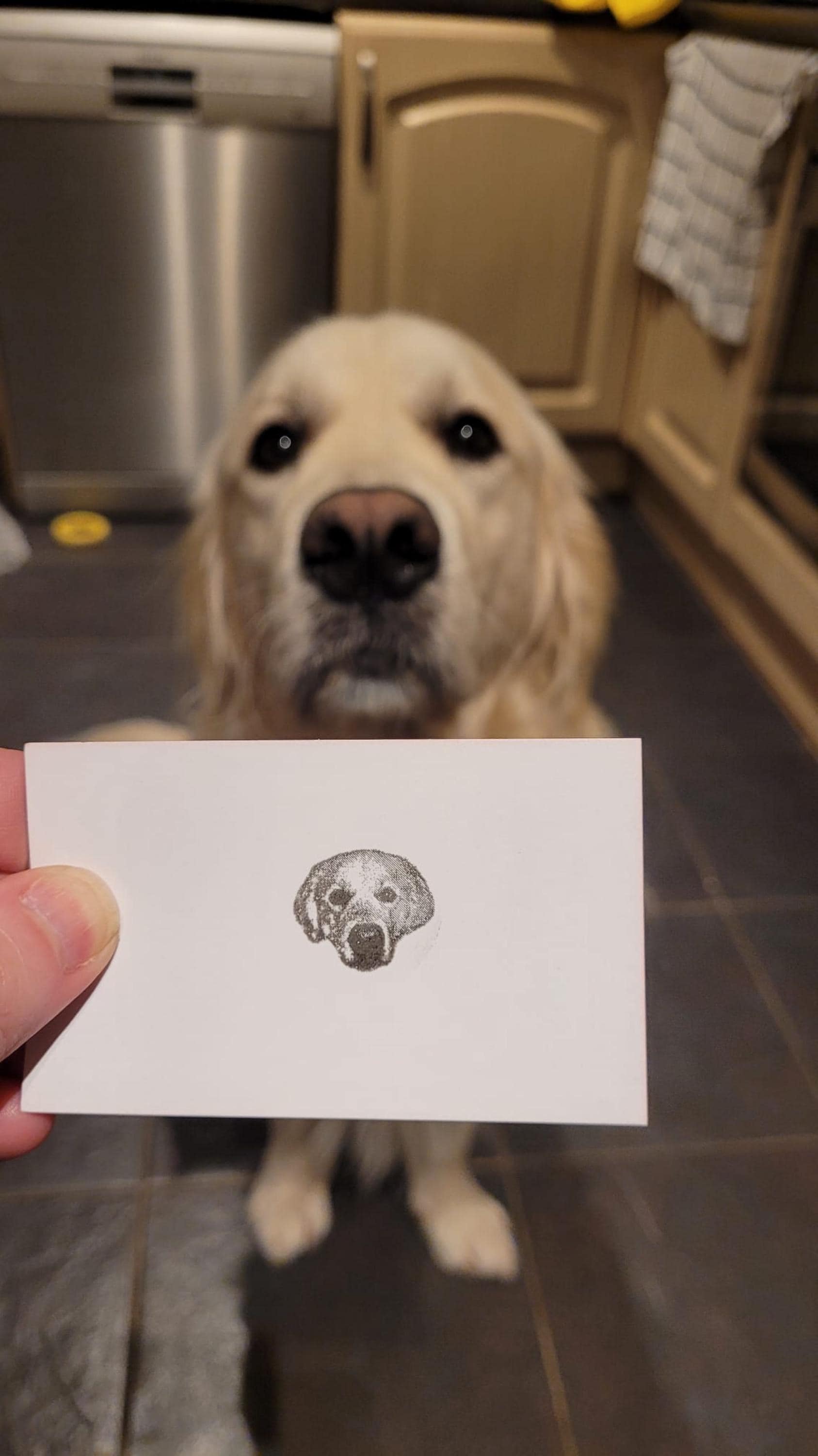 Custom Pet Stamp, Cute Pet Image Stamp,Personalized Cat&Dog Stamps, Royal Pet Face Stamp,Pet Memorial Gift