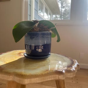 Monique added a photo of their purchase