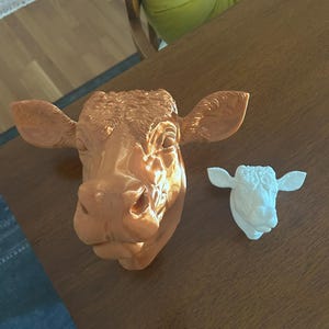Laura added a photo of their purchase