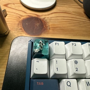 Rusty added a photo of their purchase