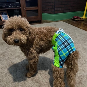 Dog swim deals trunks
