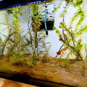 Jason hat ein Foto des gekauften Artikels hinzugefügt