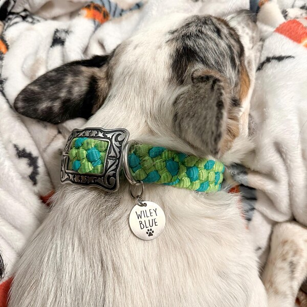 Puppies Collars FdcLixuvol 8 Pcs Dog Collar Flower Accessories 3 Inch Colorful Cat Flower Dog Collar