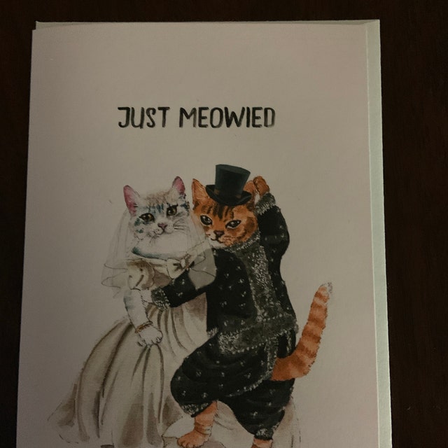 Edition Seidel Premium Square Wedding Greeting Card With Envelope Wedding Card Greeting Card Marriage Just Married Cats Heart Funny Hq145 Sw025
