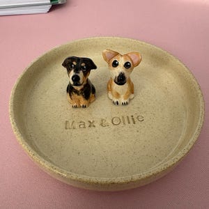 Isabel added a photo of their purchase