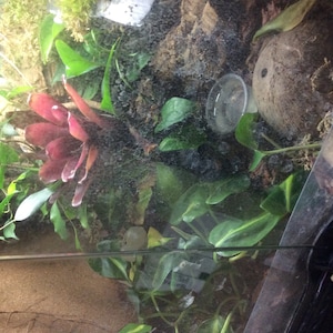 Bob added a photo of their purchase