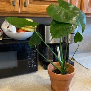 Amanda added a photo of their purchase