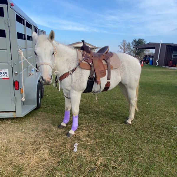 Pink & Green Concho Rose and Peridot Horse Tack Rodeo Barrel Racing ...