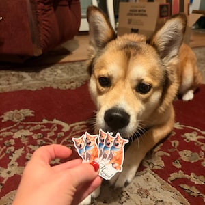 Molly added a photo of their purchase