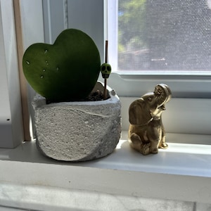 April added a photo of their purchase